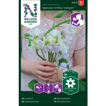 BLOMSTERFRØ NELSON GARDEN BLOMSTERERT SPENCER ARTHUR HELLYER