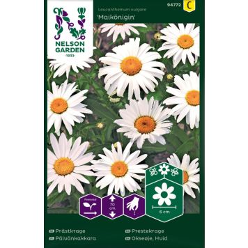 BLOMSTERFRØ NELSON GARDEN PRESTEKRAGE 