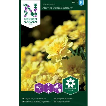 BLOMSTERFRØ NELSON GARDEN FLØYELSBLOMST ALUMIA VANILLA CREAM