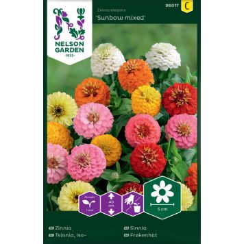 BLOMSTERFRØ NELSON GARDEN SINNIA SUNBOW MIXED 