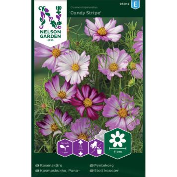 BLOMSTERFRØ NELSON GARDEN PYNTEKORG CANDY STRIPE