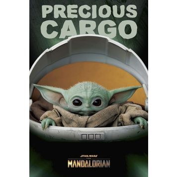 PLAKAT REINDERS PRECIOUS CARGO 61x91,5CM 001