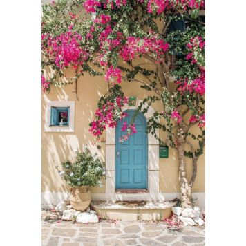 PLAKAT REINDERS ROSETRE DØR 61x91,5CM 027