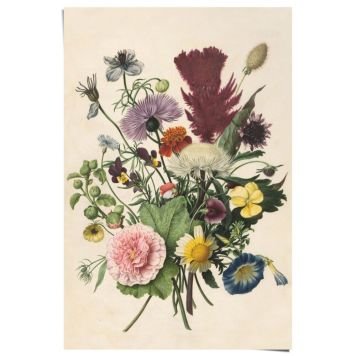 PLAKAT REINDERS BUKETT 61x91,5CM 035