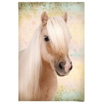 PLAKAT REINDERS 120 61 X 91 CM