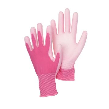 HAGEHANSKE GARDOL ROSA STRL 8