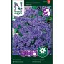 BLOMSTERFRØ NELSON GARDEN DUFTEHELIOTROP MARINE