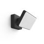 SPOTLIGHT PHILIPS HUE FLOMLYS WELCOME 15W SVART