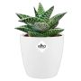 PLASTPOTTE ELHO BRUSSELS ROUND MINI 12,5 HVIT