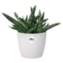 PLASTPOTTE ELHO BRUSSELS ROUND MINI 12,5 HVIT