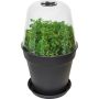 PLANTEPOTTE ELHO BASICS 30CM SVART