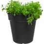 PLANTEPOTTE ELHO BASICS 30CM SVART