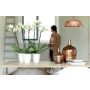 PLASTPOTTE ELHO BRUSSELS D ORCHID HIGH 12,5CM HVIT