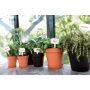 PLANTEPOTTE ELHO GREEN BASICS GROWPOT 30 CM GRØNN