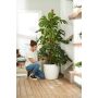 SELVVANNING ELHO AQUA CARE LIME