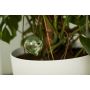 SELVVANNING ELHO AQUA CARE LIME