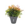 UTEPOTTE ELHO LOFT URBAN ROUND 5,5L 25CM ANTRASITT