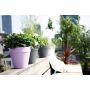 UTEPOTTE ELHO LOFT URBAN ROUND 5,5L 25CM ANTRASITT