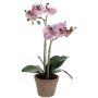 KUNSTIG PLANTE EMERALD PHALAENOPSIS 56CM LILLA