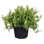 BLOMSTER MURKLOKKE 10,5 CM GRØNN