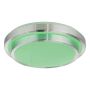 PLAFOND GLOBO LED Ø41CM HVIT