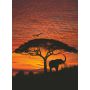 FOTOTAPET KOMAR AFRICAN SUNSET 194X270CM