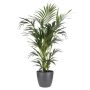 PLASTPOTTE ELHO BRUSSELS ROUND 18CM ANTRASITT