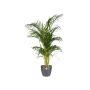 PLASTPOTTE ELHO BRUSSELS ROUND 18CM ANTRASITT