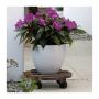 POTTETRALLE WAGNER ANDALUZ TRE 29CM