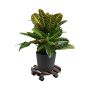 POTTETRALLE WAGNER ANDALUZ TRE 29CM
