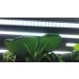 PLANTELYS LED NELSON GARDEN NO1 15W 60CM