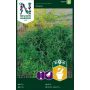 KRYDDERURTER NELSON GARDEN DILL COMO
