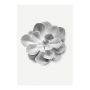 POSTER KOMAR  SUCCULENT AEONIUM 30 X 40 CM