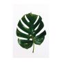 PLAKATER KOMAR MONSTERA-BLAD 30X40CM