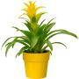 PLASTPOTTE ELHO B.FOR ORIGINAL Ø18CM ORCHE 