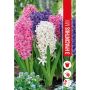 HØSTLØK HYACINTHUS ORIENTALIS BLANDET 3STK
