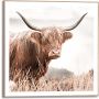 DEKORBILDE REINDERS NATURE COW SLIM RAMME 50X50CM TRE