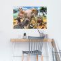 PLAKAT REINDERS MORSOMME DYR 61x91,5CM 006
