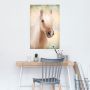 PLAKAT REINDERS 120 61 X 91 CM