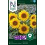 BLOMSTERFRØ NELSON GARDEN SOLSIKKE PACINO GOLD 