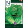 GRØNNSAKSFRØ NELSON GARDEN ROMANOSALAT LOBJOITS GREEN COS 
