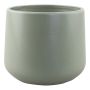 INNENDØRS POTTE PIARDINO LILY SAGE Ø20CM GRØNN