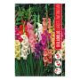 VARLØK GLADIOLUSMIX 10 STK