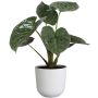 INNENDØRS POTTE ELHO JAZZ ROUND SILKY WHITE Ø14CM
