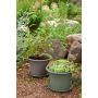 BLOMSTERSKÅL ORTHEX Ø34CM OLIVENGRØNN