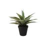 KUNSTPLANTE EMERALD AGAVE 19CM GRØNN