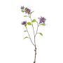 SNITTBLOMSTER EMERALD CLEMATIC 75CM LILLA