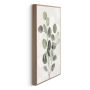 DEKORBILDE REINDERS  EUCALYPTUS STILLE SLIM RAMME 20X30CM TRE