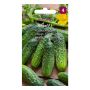 GRØNNSAKSFRØ PIARDINO GURKA REGAL H F1