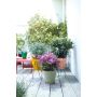 UTEPOTTE ELHO LOFT URBAN RUND Ø50CM GRØNN